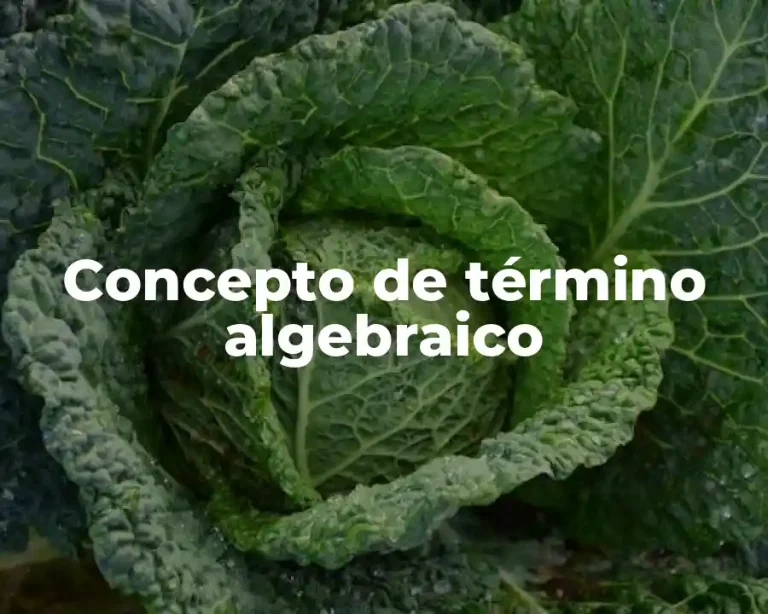 Concepto de término algebraico