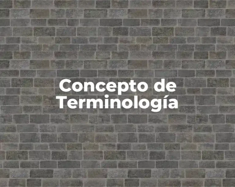 Concepto de Terminología