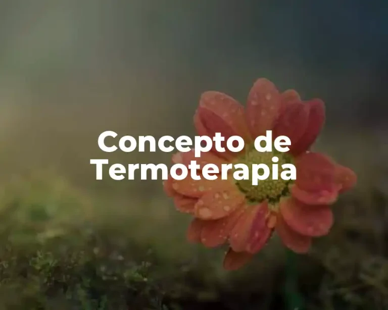 Concepto de Termoterapia