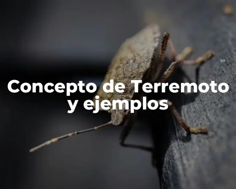 Concepto de Terremoto y ejemplos