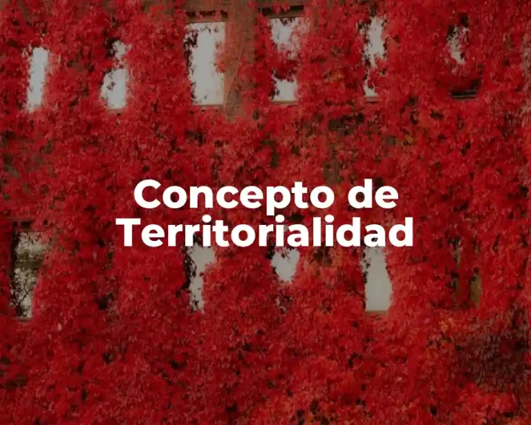 Concepto de Territorialidad