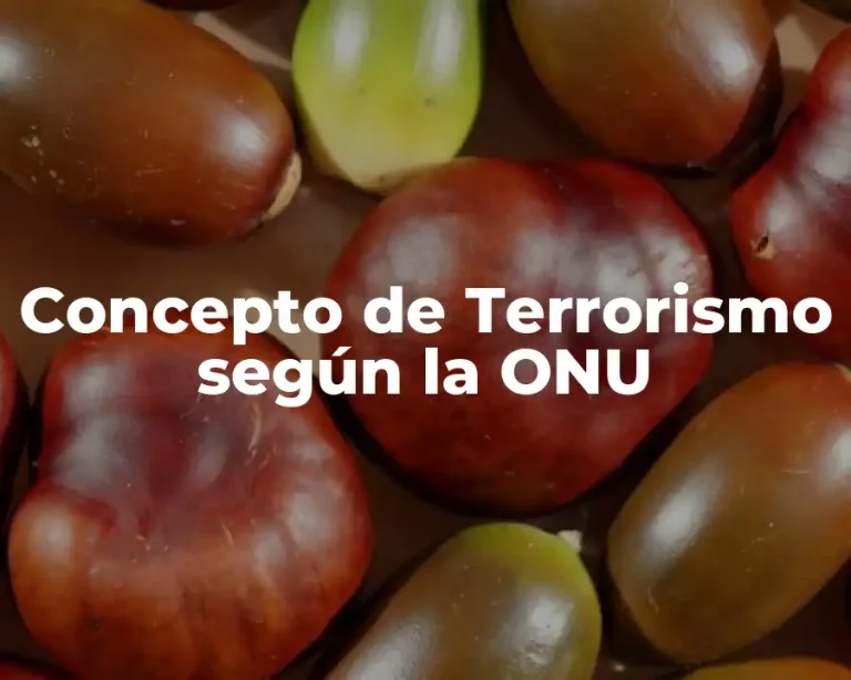 Concepto de Terrorismo según la ONU