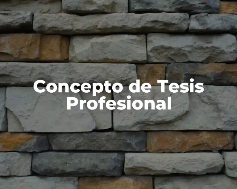 Concepto de Tesis Profesional