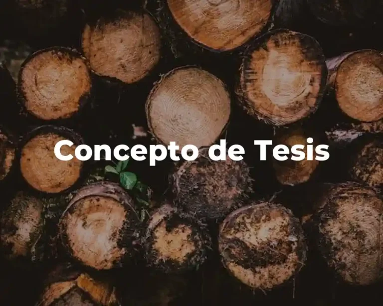 Concepto de Tesis
