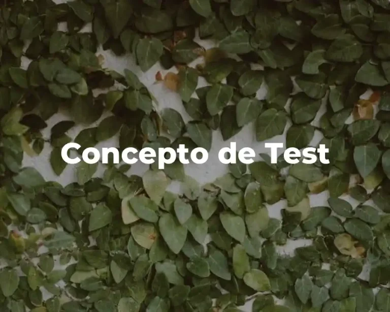 Concepto de Test
