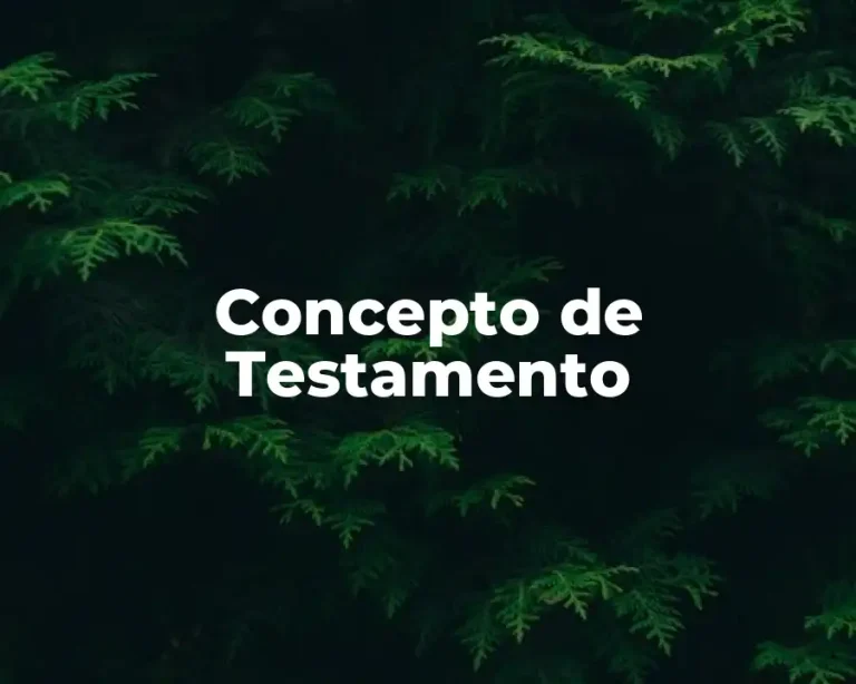 Concepto de Testamento