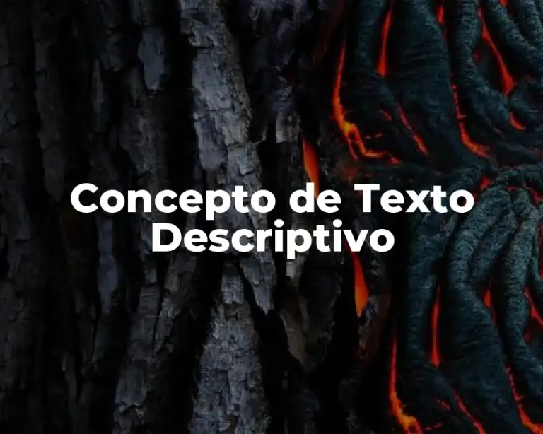Concepto de Texto Descriptivo