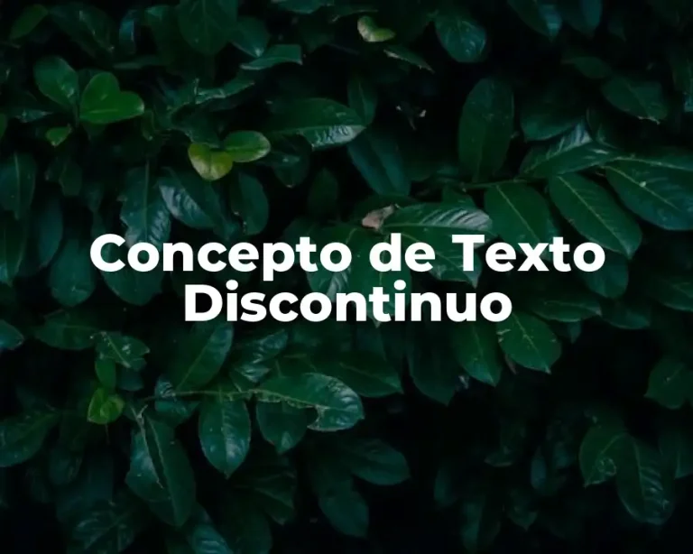 Concepto de Texto Discontinuo
