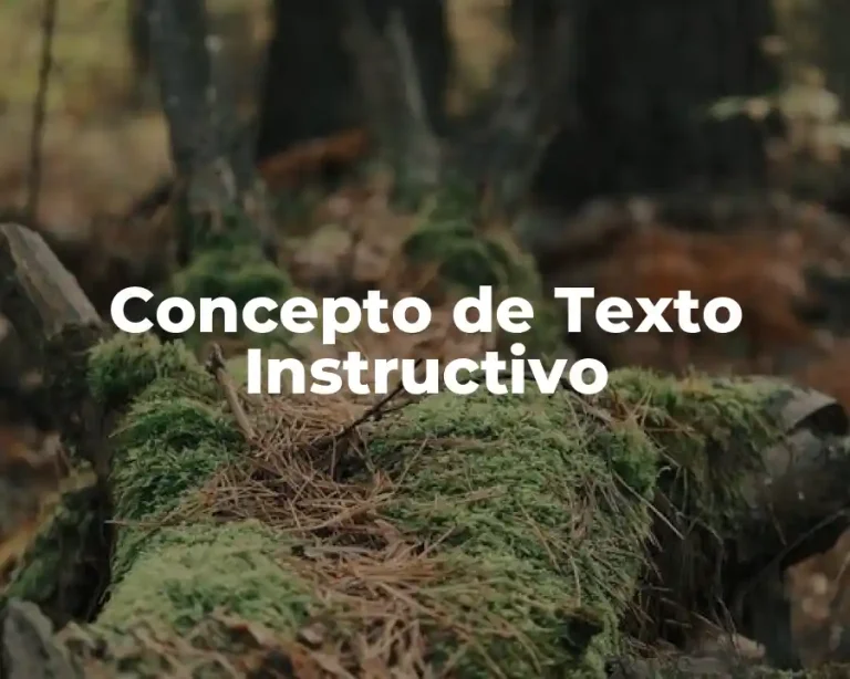 Concepto de Texto Instructivo