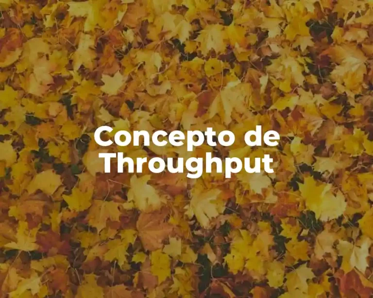 Concepto de Throughput