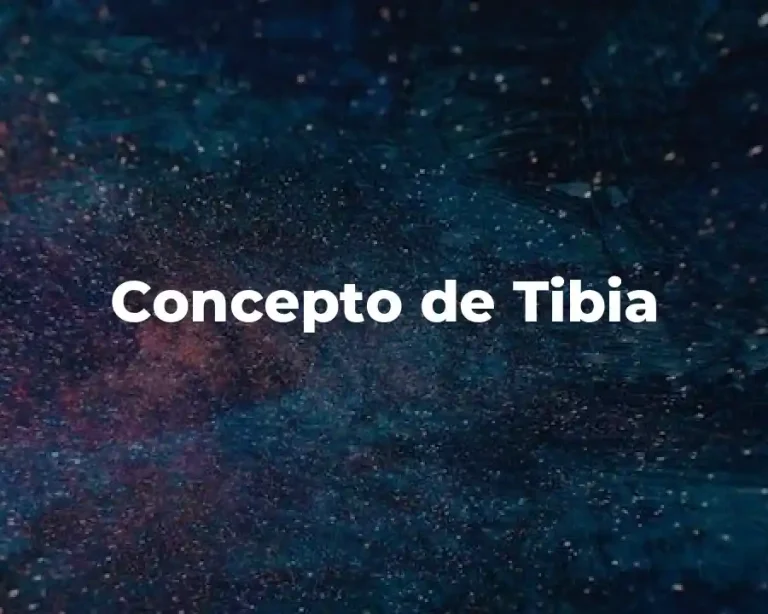 Concepto de Tibia
