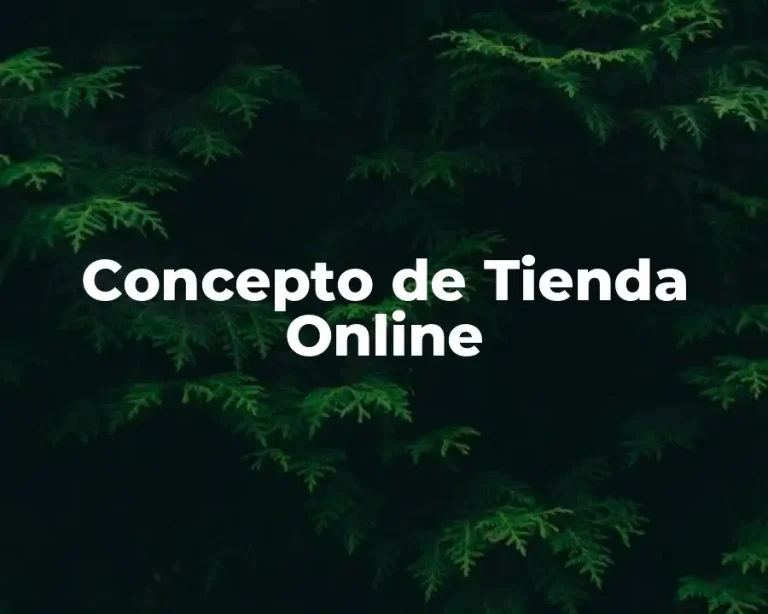 Concepto de Tienda Online