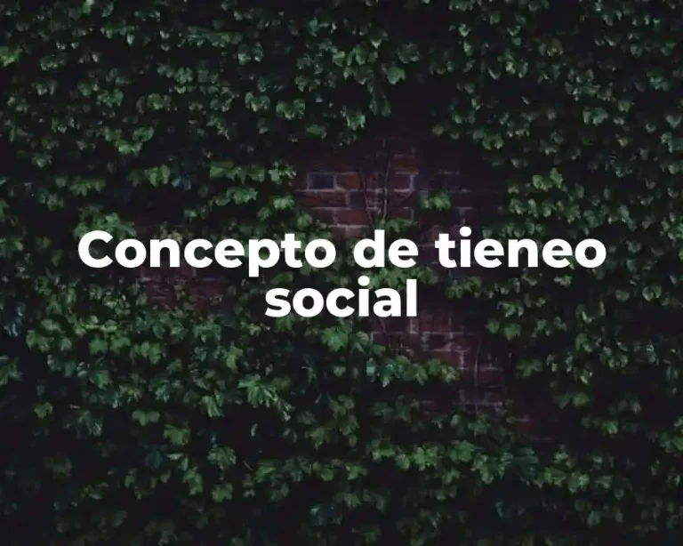 Concepto de tieneo social