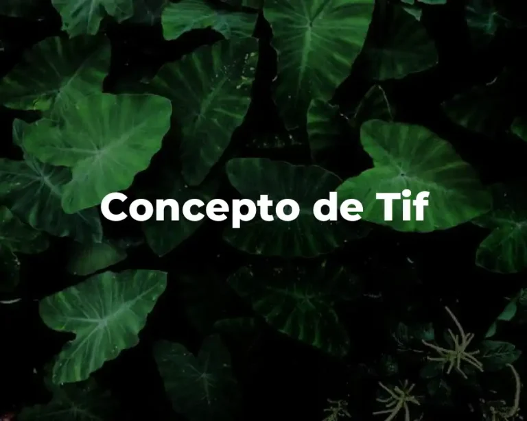 Concepto de Tif