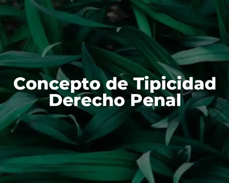 Concepto de Tipicidad Derecho Penal