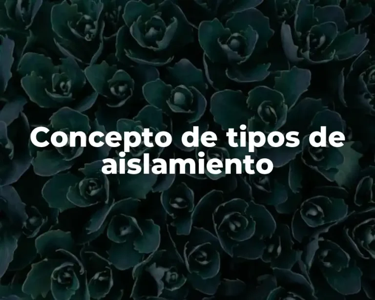 Concepto de tipos de aislamiento