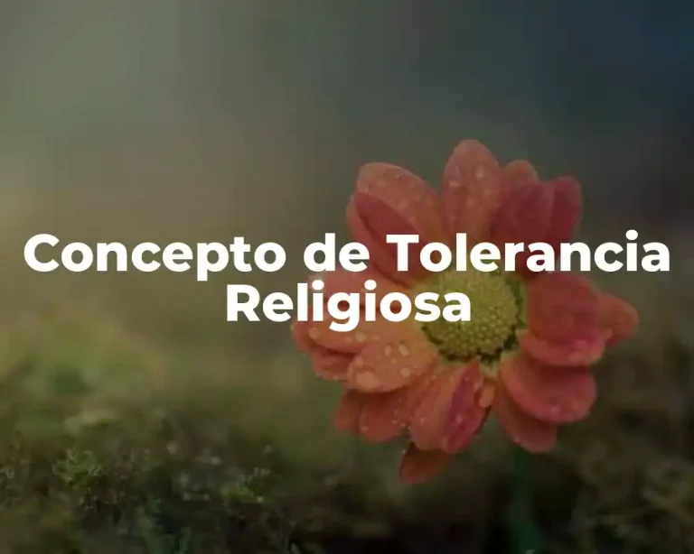 Concepto de Tolerancia Religiosa
