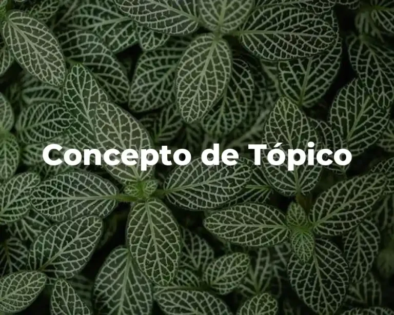 Concepto de Tópico