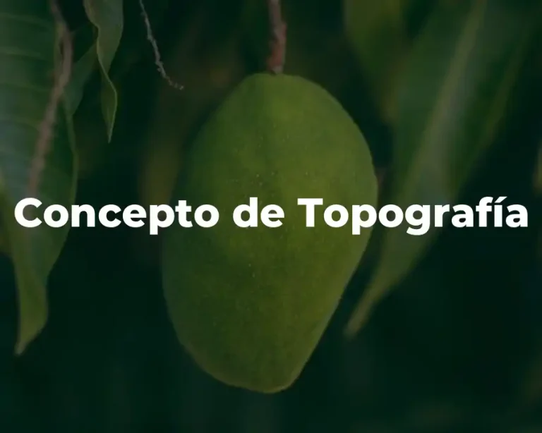 Concepto de Topografía