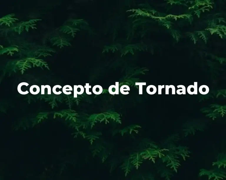 Concepto de Tornado