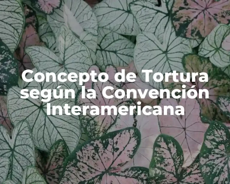 Concepto de Tortura según la Convención Interamericana