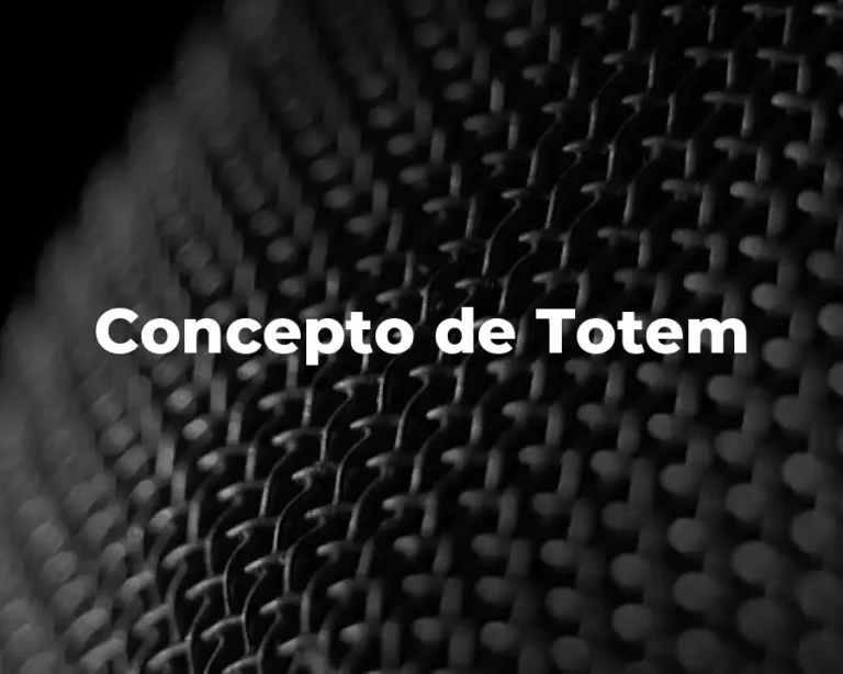 Concepto de Totem