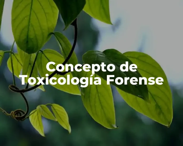 Concepto de Toxicología Forense