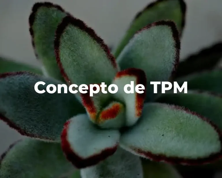 Concepto de TPM