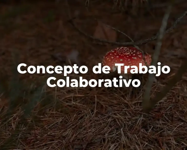 Concepto de Trabajo Colaborativo