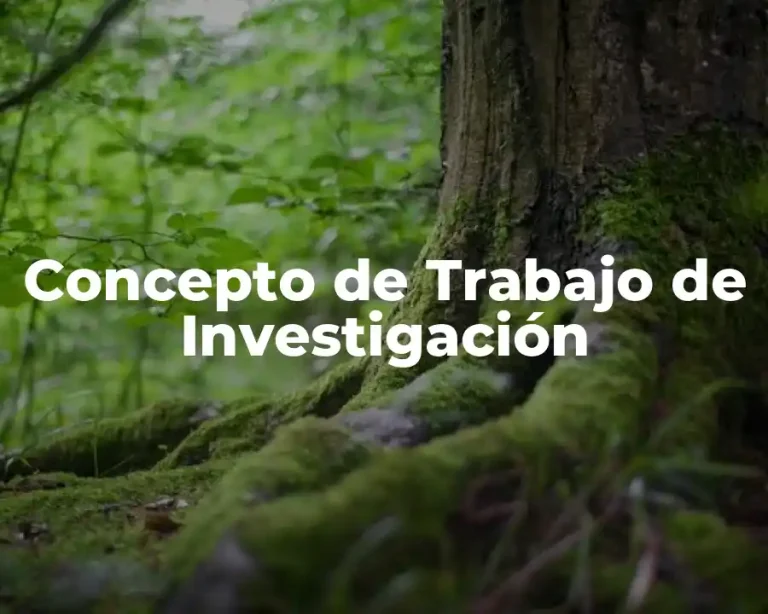 Concepto de Trabajo de Investigación