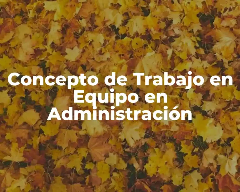 Concepto de Trabajo en Equipo en Administración