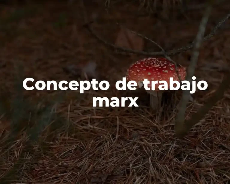 Concepto de trabajo marx