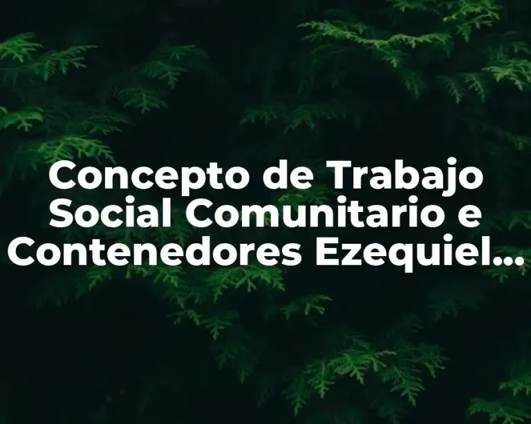 Concepto de Trabajo Social Comunitario e Contenedores Ezequiel Ander