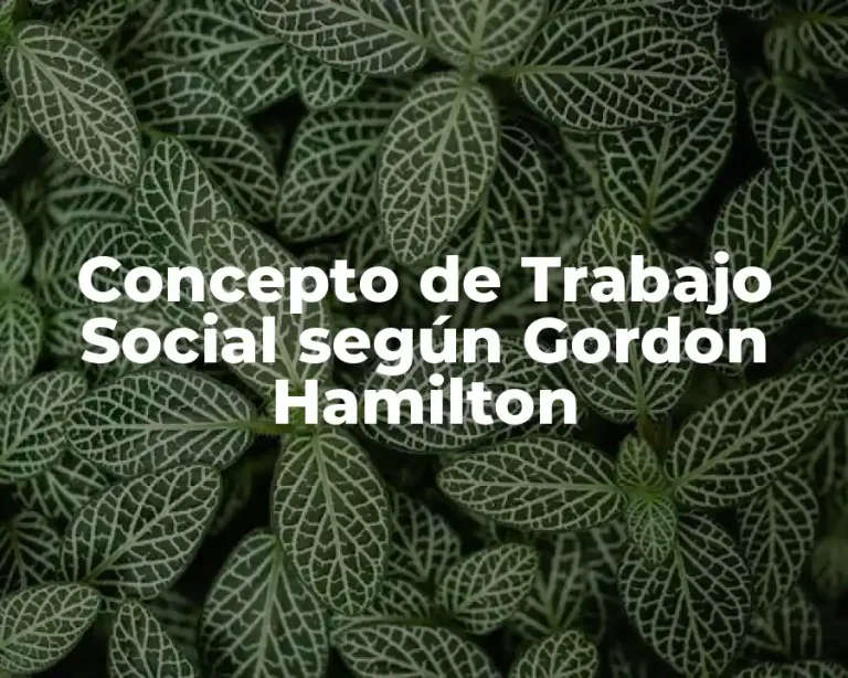 Concepto de Trabajo Social según Gordon Hamilton