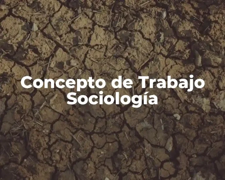 Concepto de Trabajo Sociología