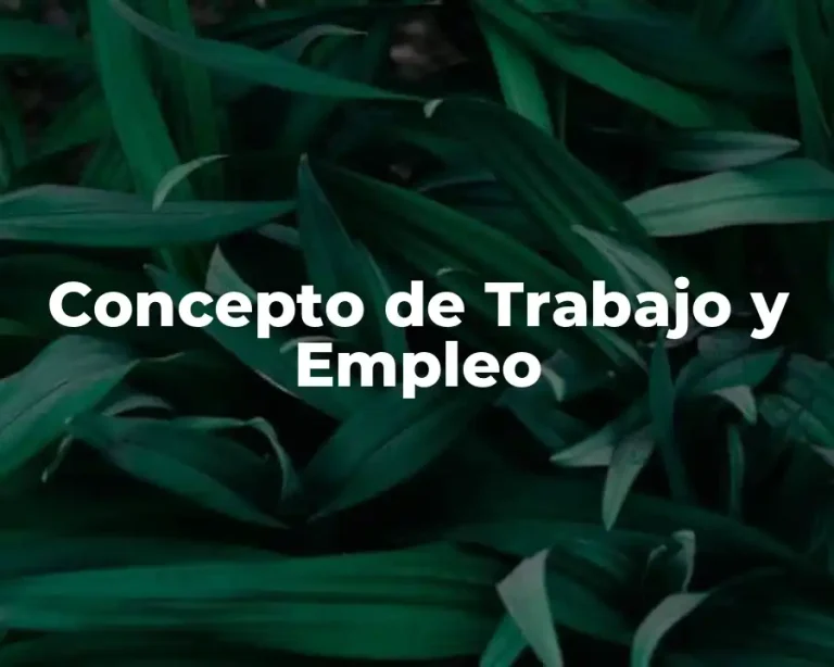Concepto de Trabajo y Empleo