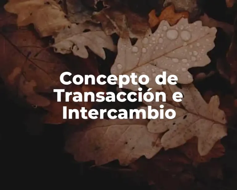 Concepto de Transacción e Intercambio
