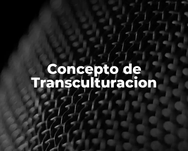 Concepto de Transculturacion