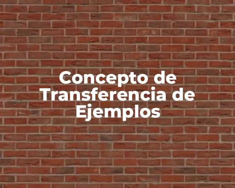 Concepto de Transferencia de Ejemplos