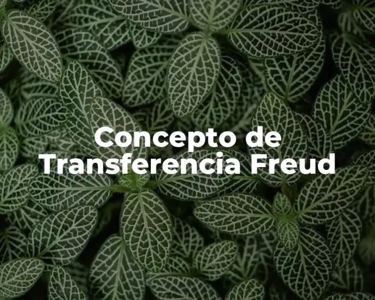 Concepto de Transferencia Freud