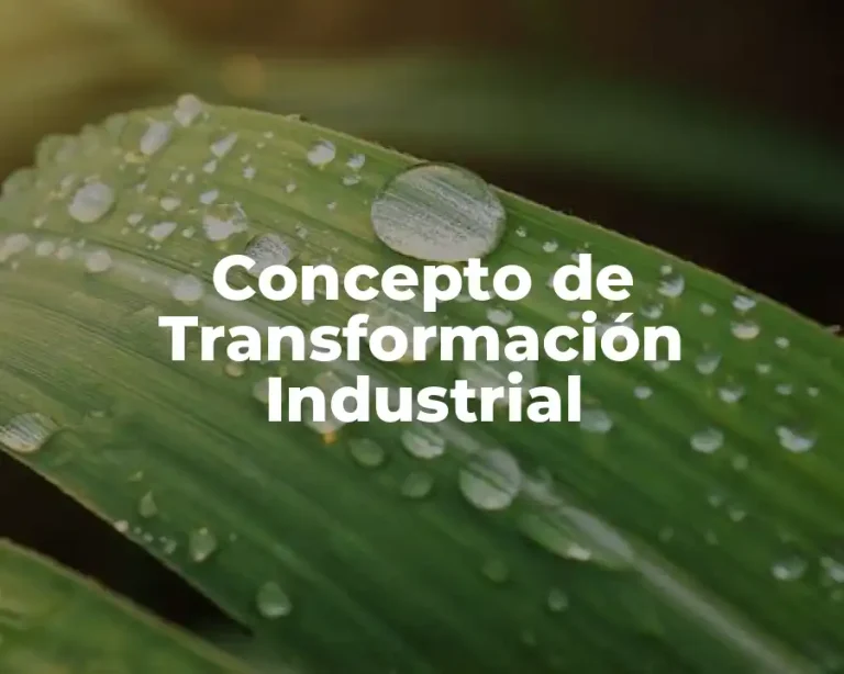Concepto de Transformación Industrial