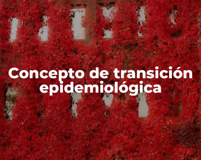 Concepto de transición epidemiológica