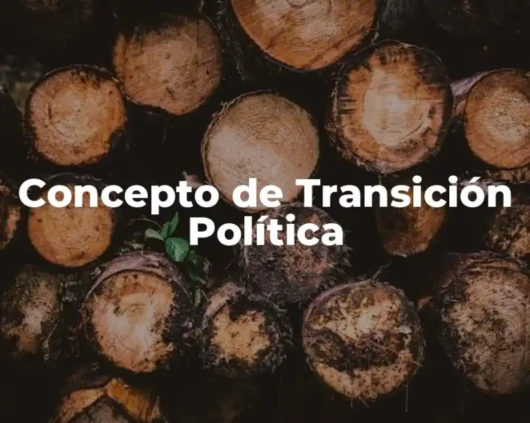 Concepto de Transición Política