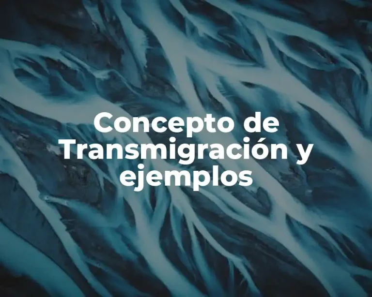 Concepto de Transmigración y ejemplos