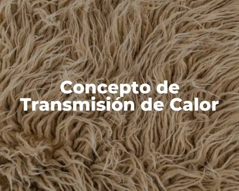 Concepto de Transmisión de Calor