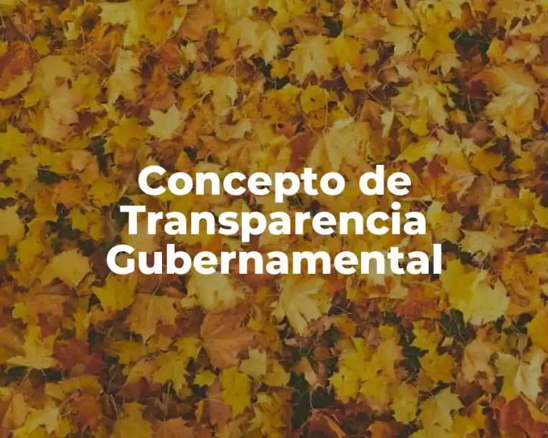 Concepto de Transparencia Gubernamental