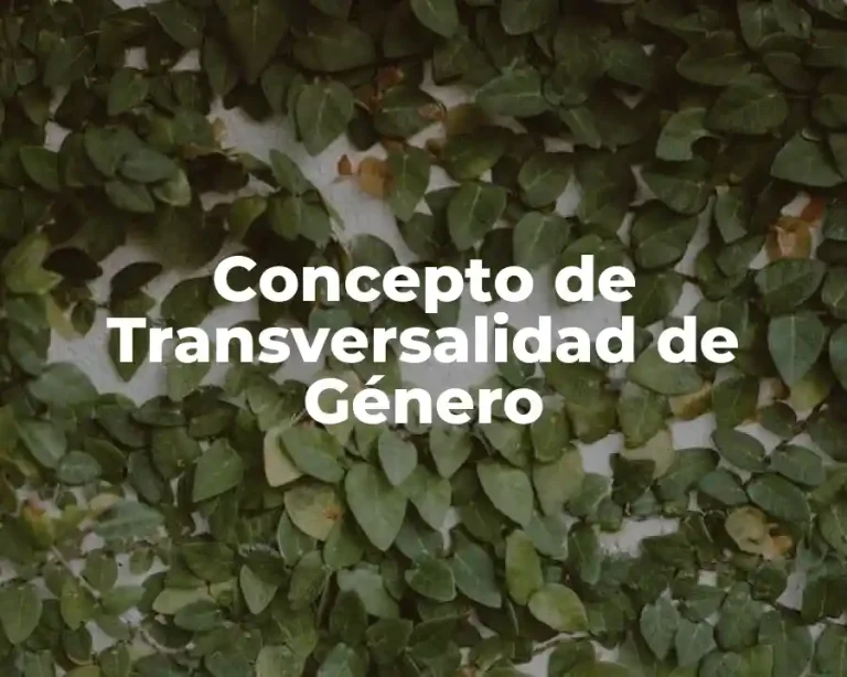 Concepto de Transversalidad de Género