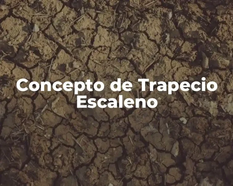 Concepto de Trapecio Escaleno