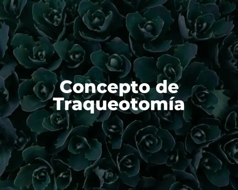 Concepto de Traqueotomía