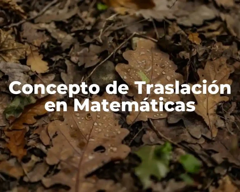 Concepto de Traslación en Matemáticas